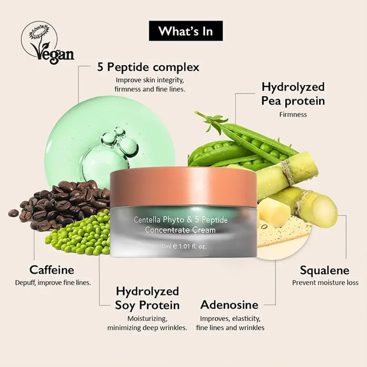 Haruharu Wonder Centella Phyto & 5 Peptide Concentrate Cream | Atelier De Glow UK