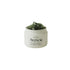 Arencia Holy Hyssop Serum 30 – 50ml Korean soothing serum with 30% Hyssop Extract available at Atelier De Glow UK.